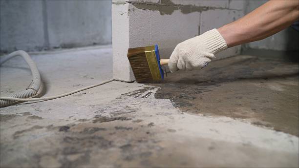 Top rated local Crawl Space Encapsulation specialists in Falmouth, VA